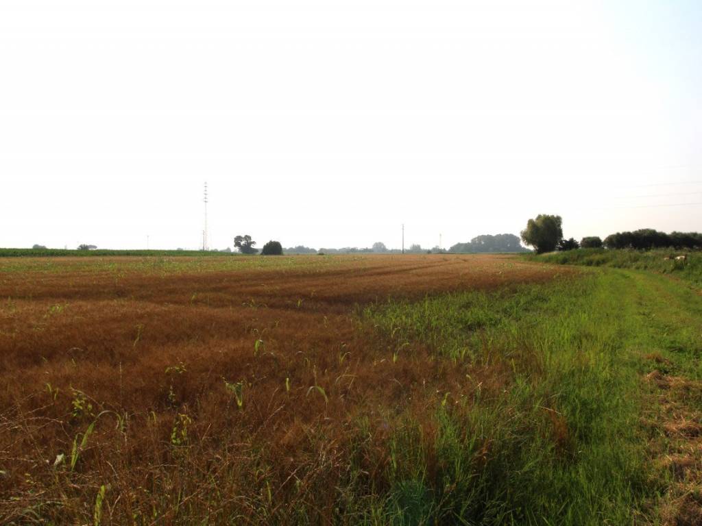 Terreno a Monselice in Via Rivella - Foto 2