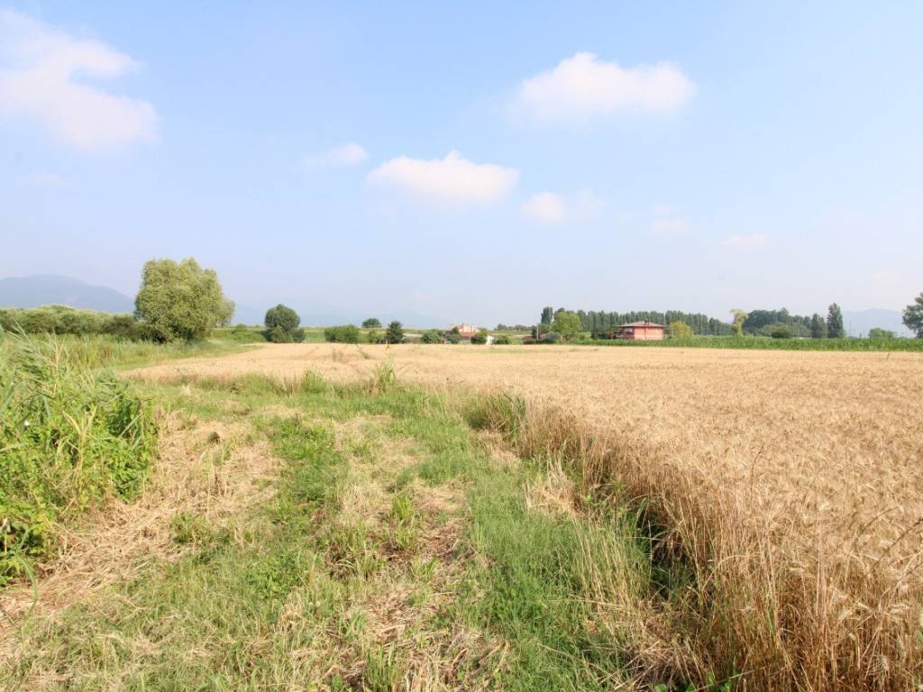 Terreno a Monselice in Via Rivella - Foto 3