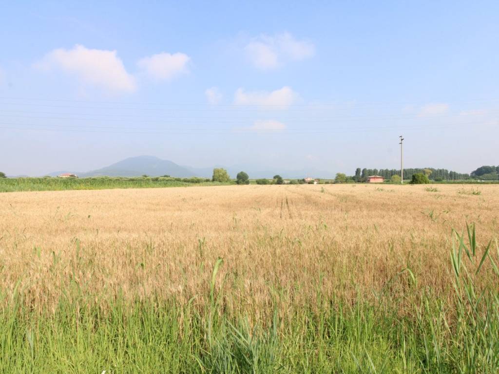 Terreno a Monselice in Via Rivella - Foto 5