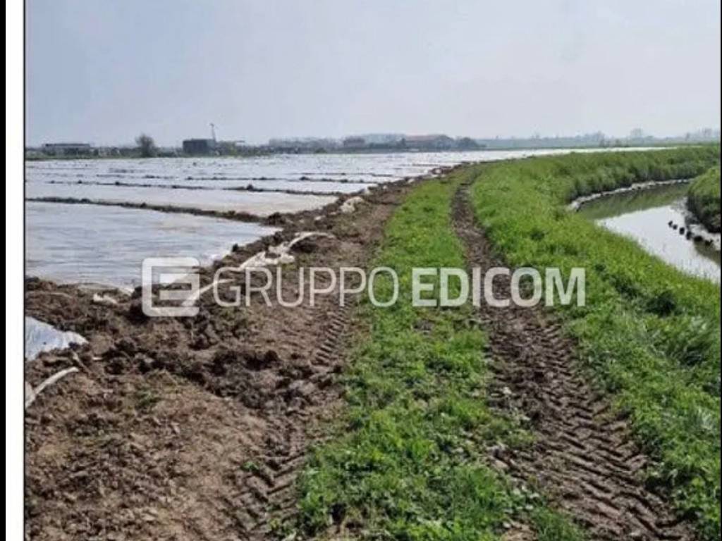Terreno a Chioggia in Strada Margherita - Foto 2
