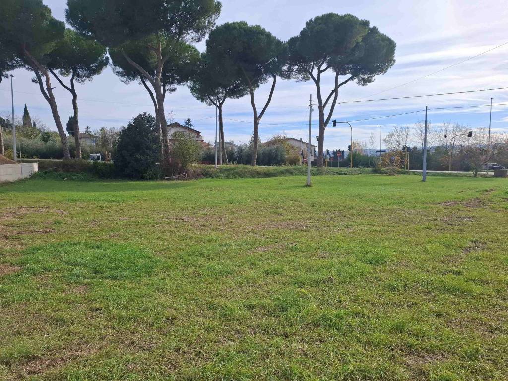 Terreno a Nereto in Strada Provinciale della Vibrata - Foto 4