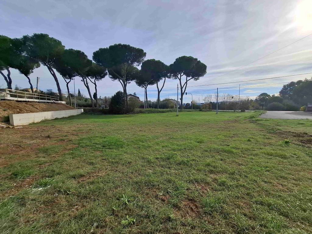 Terreno a Nereto in Strada Provinciale della Vibrata - Foto 5
