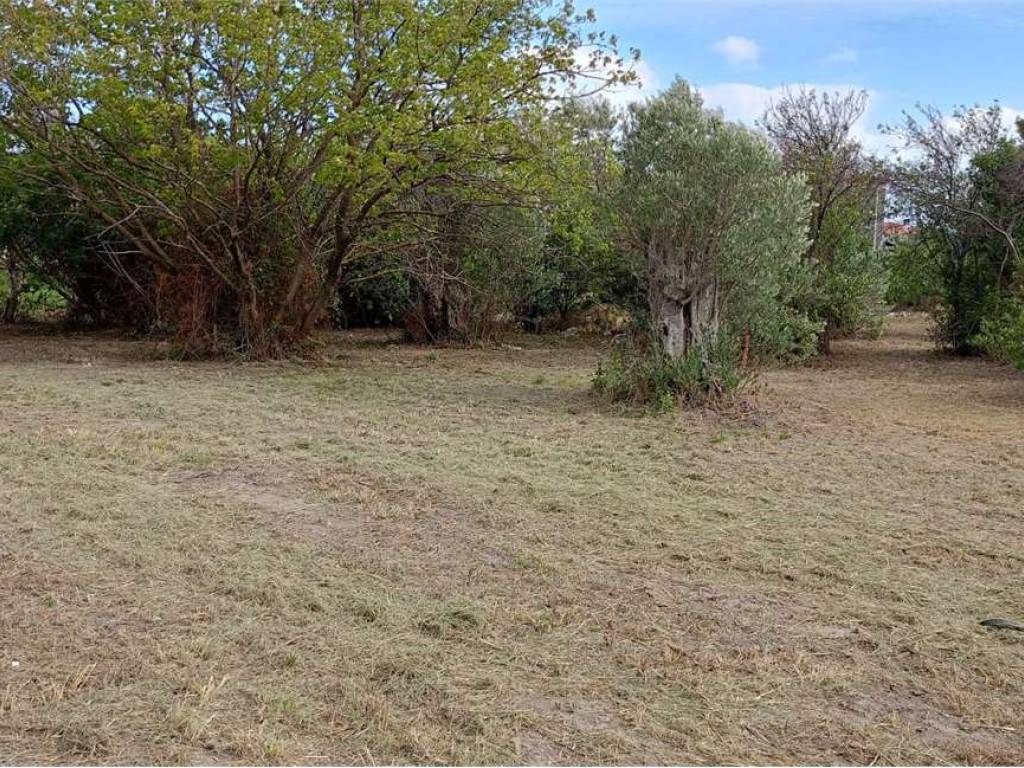 Terreno a Catanzaro in FIUME BUSENTO - Foto 4