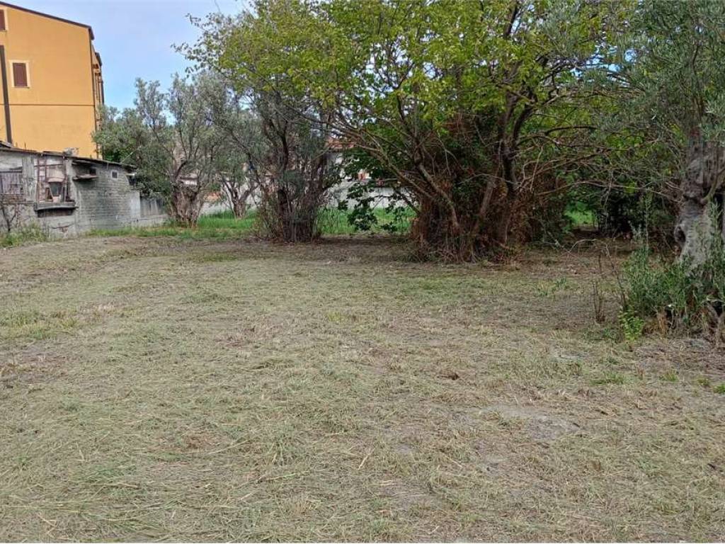 Terreno a Catanzaro in FIUME BUSENTO - Foto 5