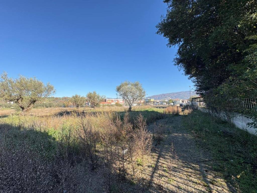 Terreno a Montalto uffugo in Via Giovanni Falcone, 4 - Foto 3