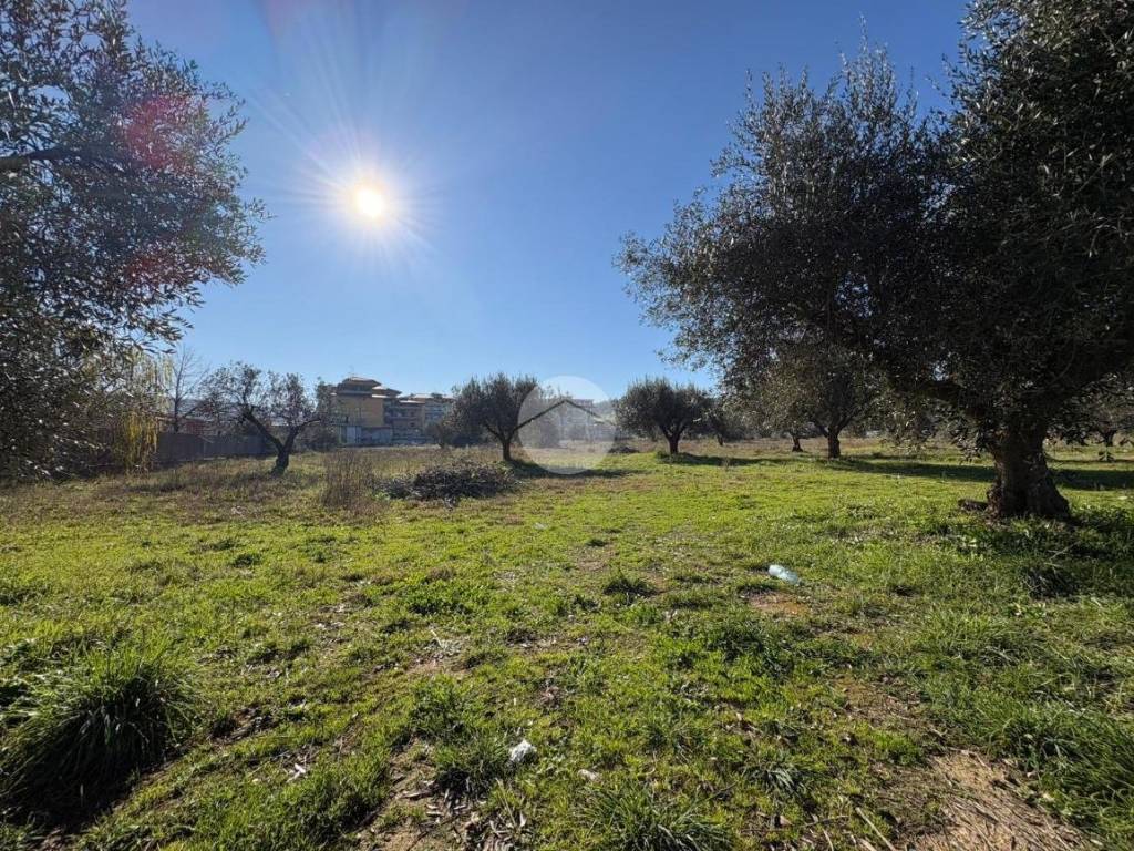 Terreno a Montalto uffugo in Via Giovanni Falcone, 4 - Foto 4