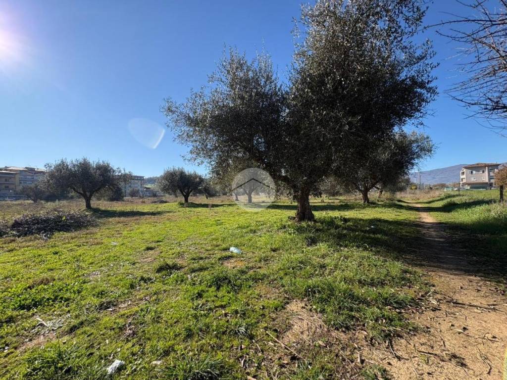 Terreno a Montalto uffugo in Via Giovanni Falcone, 4 - Foto 5