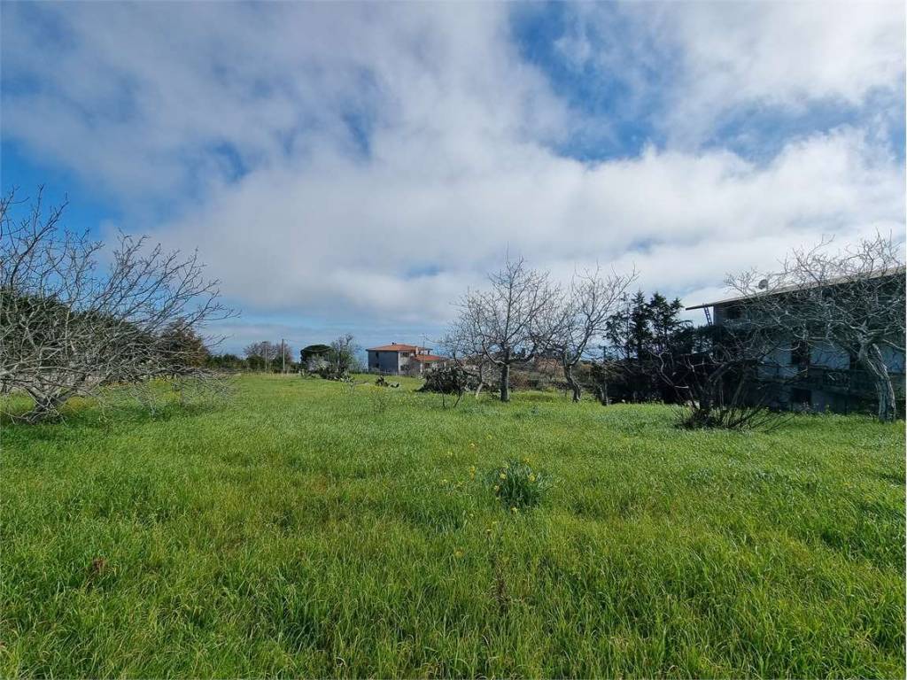 Terreno a Stalettì in VIA CHIESA MADRE - Foto 5