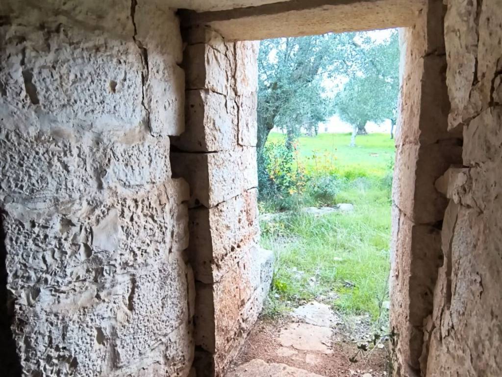 Terreno a Polignano a mare in Contrada Montaltino - Foto 3