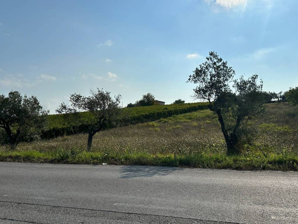Terreno a San vito chietino in Contrada Valle Ienno - Foto 3