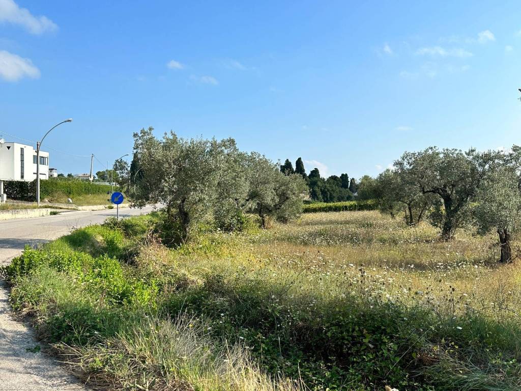 Terreno a San vito chietino in Contrada Valle Ienno - Foto 4