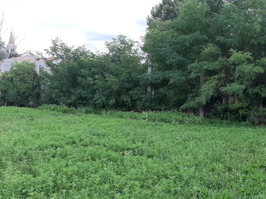 Rustico / casale a Teglio veneto in Via Cintello - Foto 4
