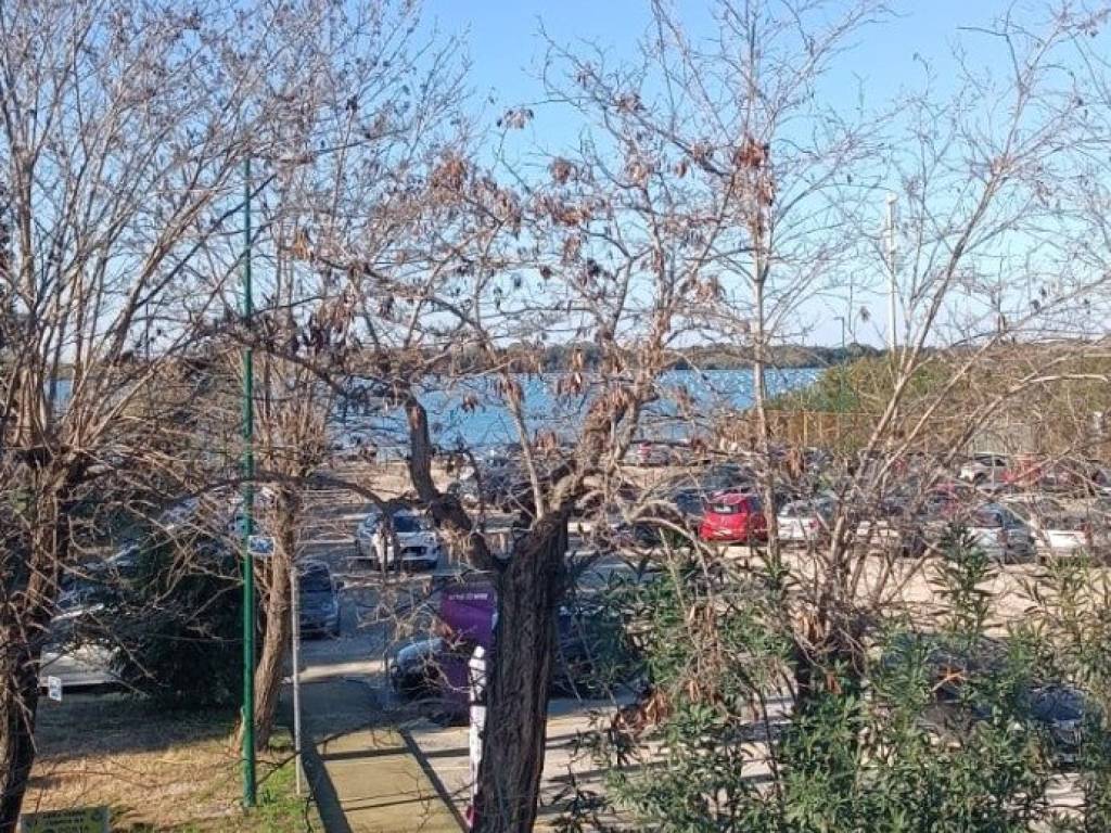 Appartamento a Bacoli in Via Fusaro - Foto 2