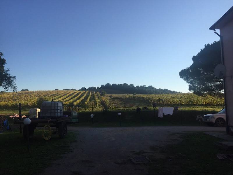 Rustico / casale a Magliano in toscana in Cupi - Foto 2