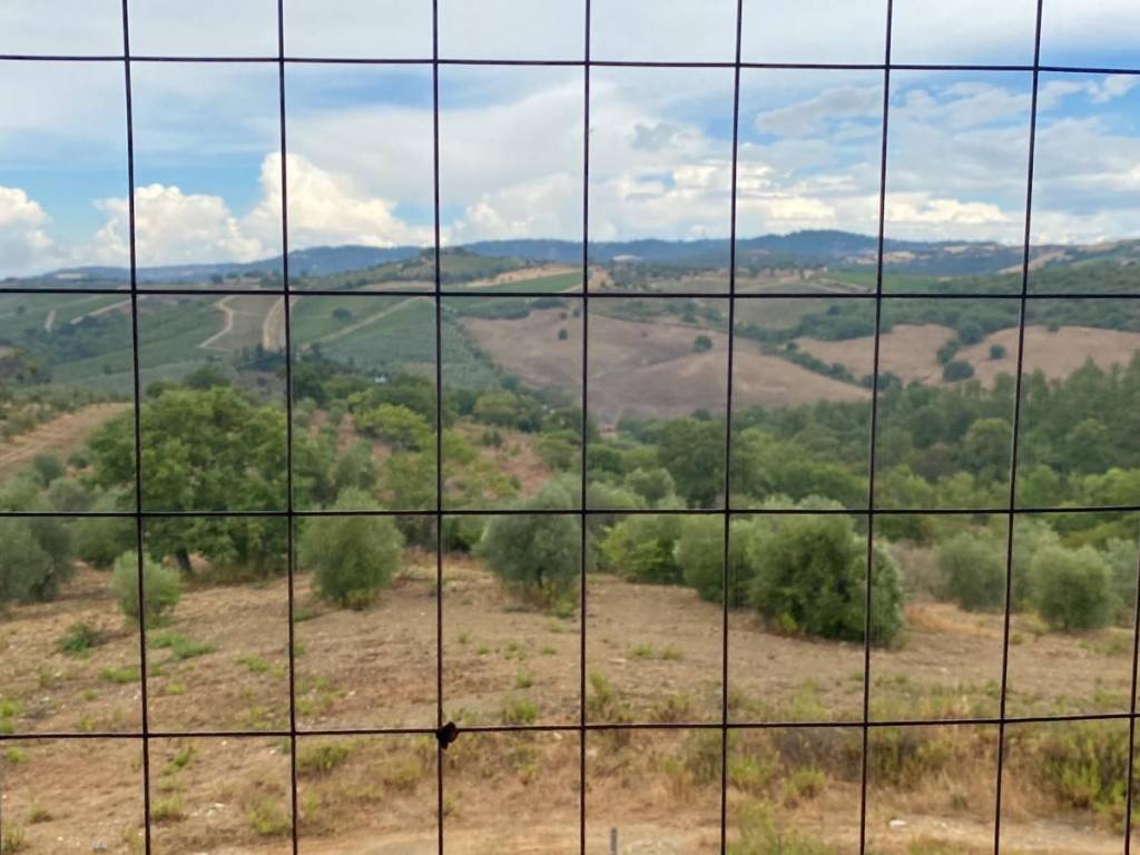 Rustico / casale a Magliano in toscana in Località Sterpeti - Foto 2