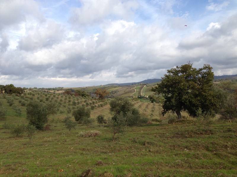 Rustico / casale a Magliano in toscana in Località Sterpeti - Foto 3