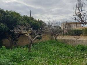 Rustico / casale a Paceco in Via Giuseppe Garibaldi, 134 - Foto 3