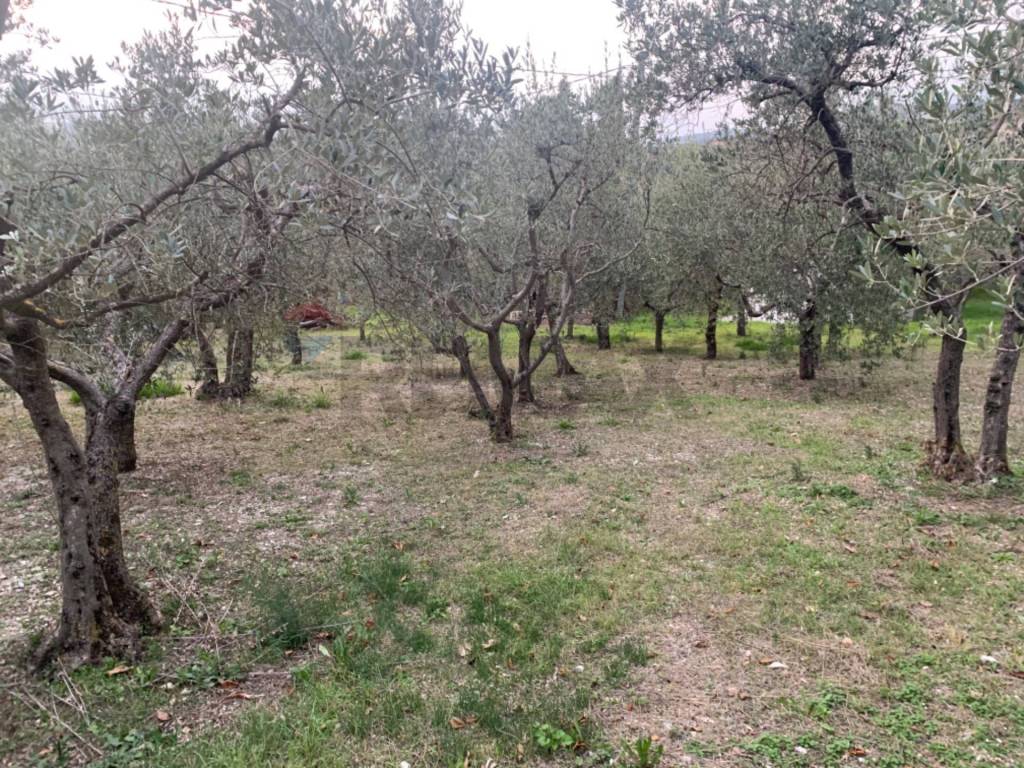 Terreno a Assisi in Via Pozzolo - Foto 2
