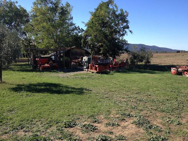 Rustico / casale a Orbetello - Foto 4