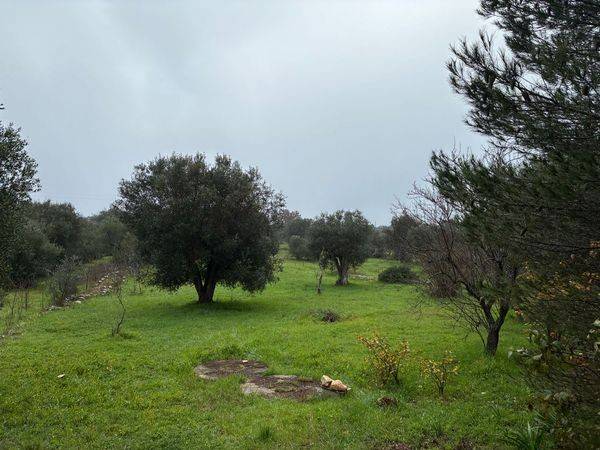 Rustico / casale a Ceglie messapica in Contrada Pisciacalze - Foto 5