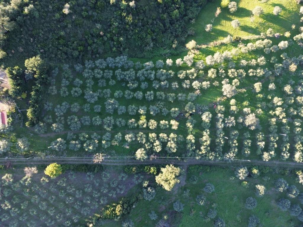 Terreno a Giungano in Via Vetosa - Foto 2