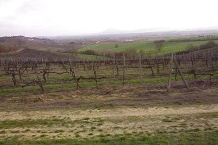 Immobile a Montepulciano - Foto 2