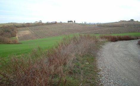 Immobile a Montepulciano - Foto 3