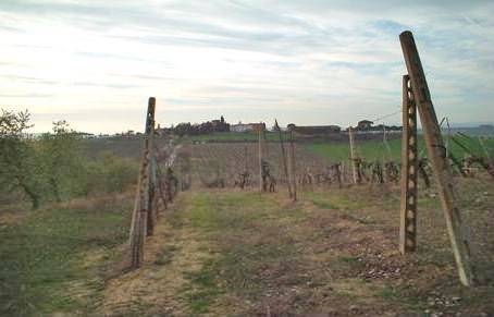 Immobile a Montepulciano - Foto 4