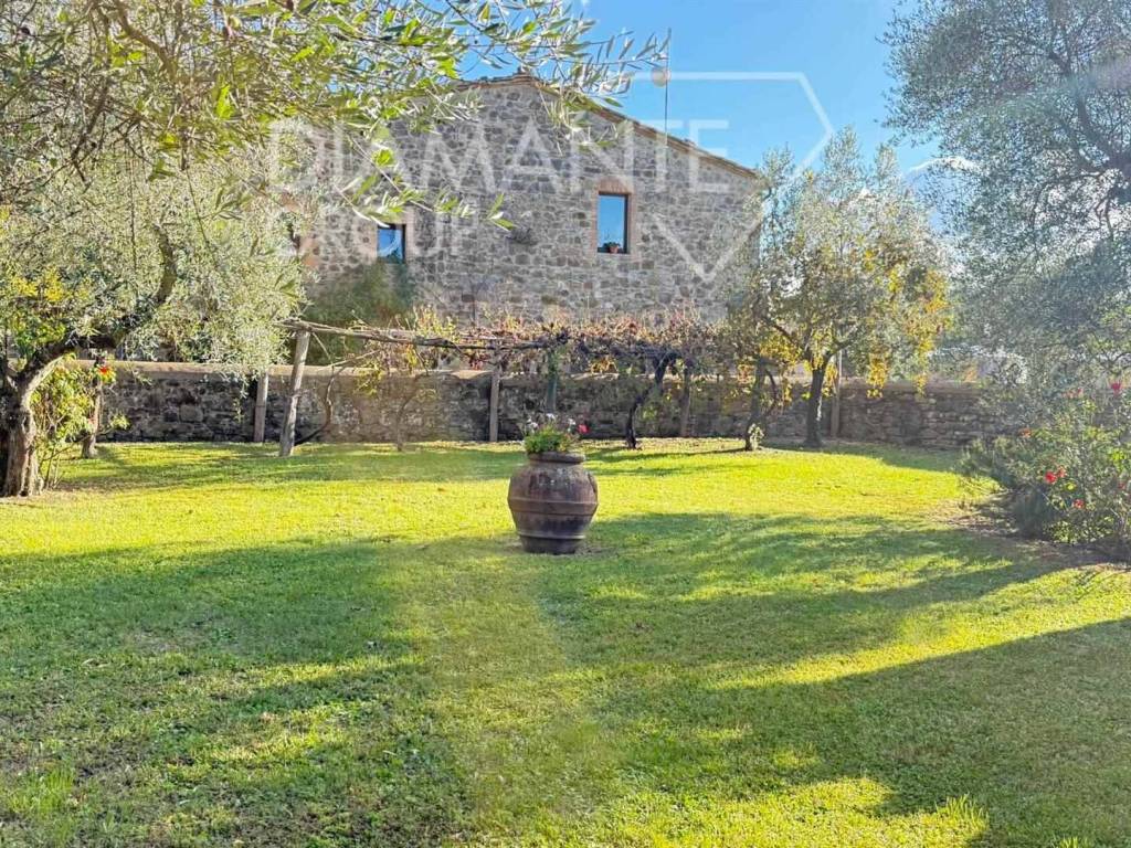 Rustico / casale a Montalcino - Foto 2