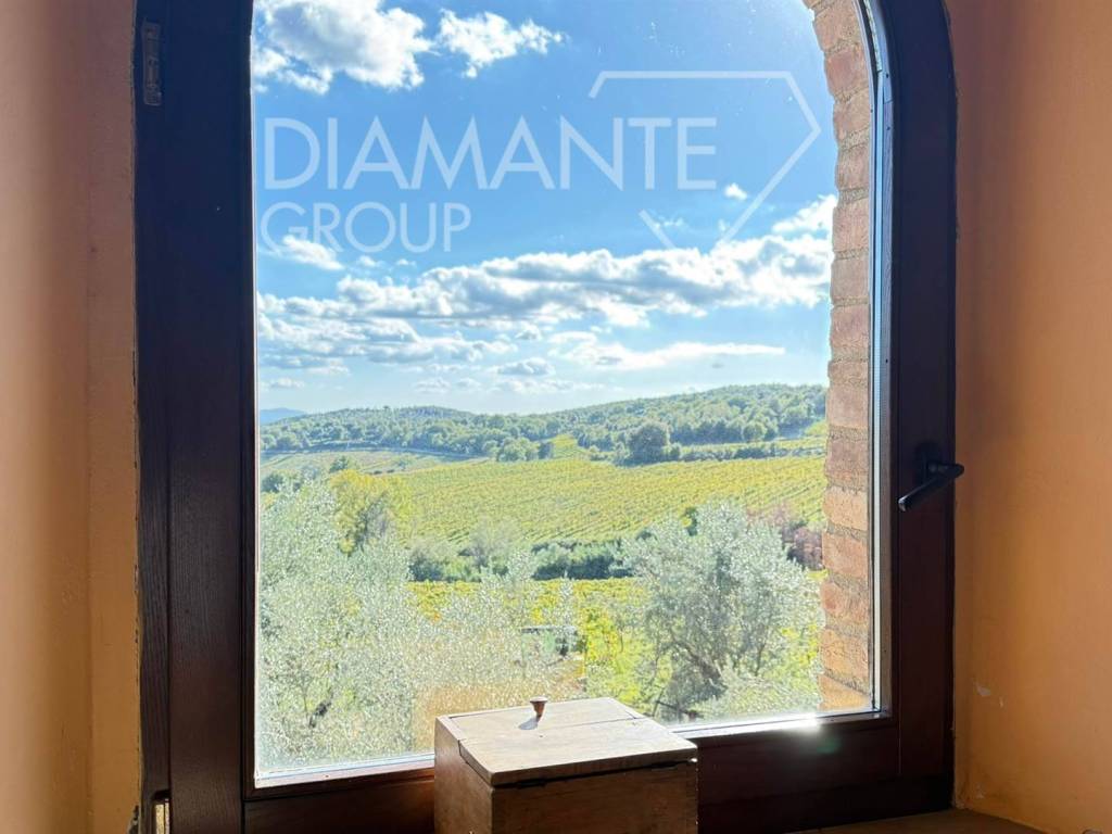 Rustico / casale a Montalcino - Foto 3