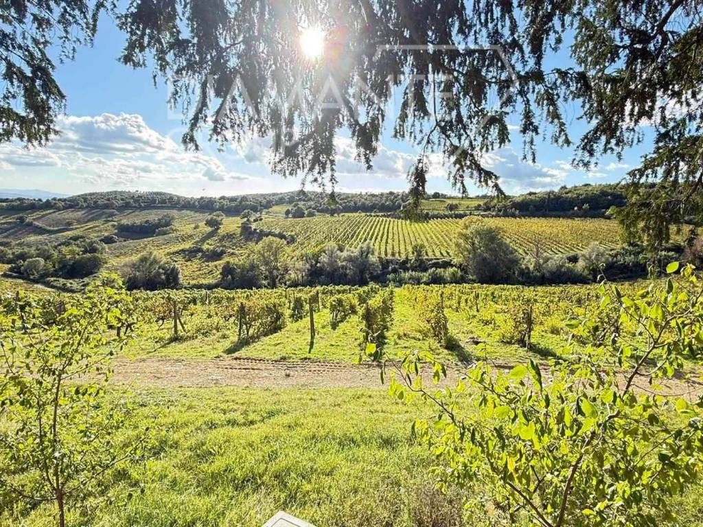 Rustico / casale a Montalcino - Foto 5