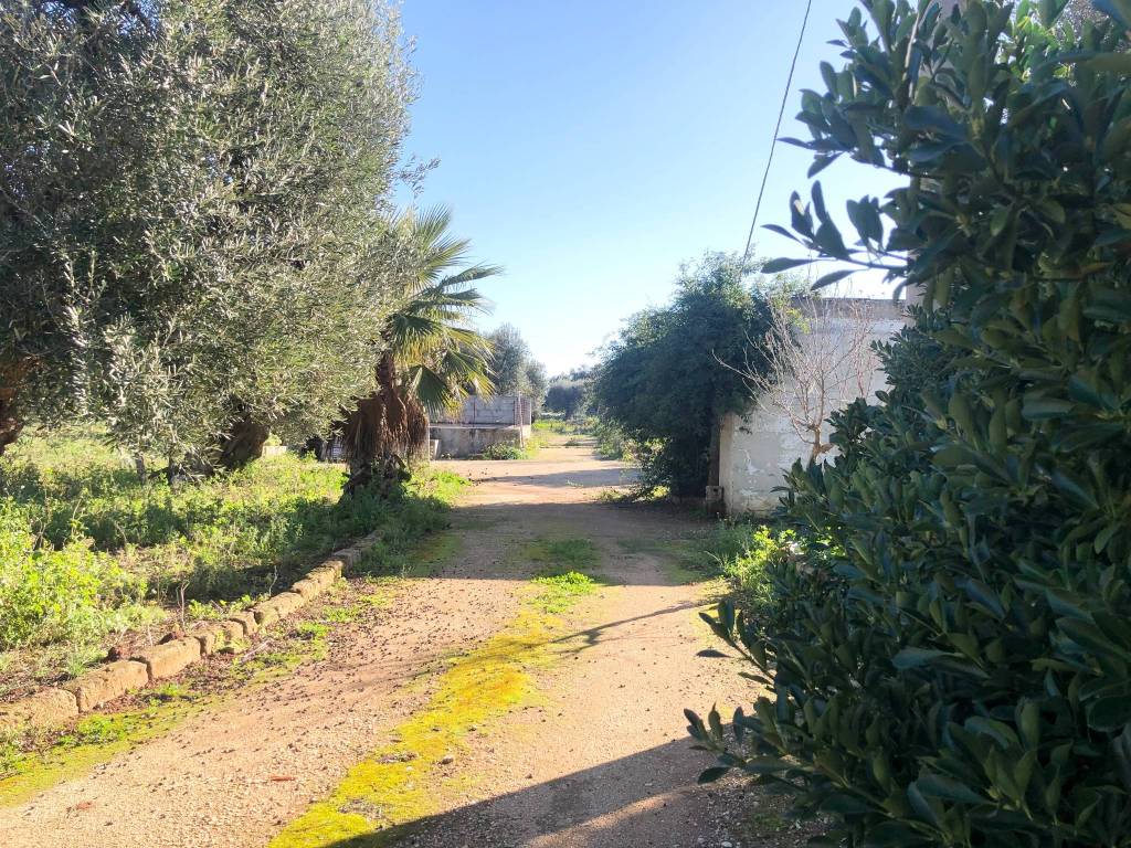 Terreno a Monopoli in Contrada Chianchizza - Foto 2