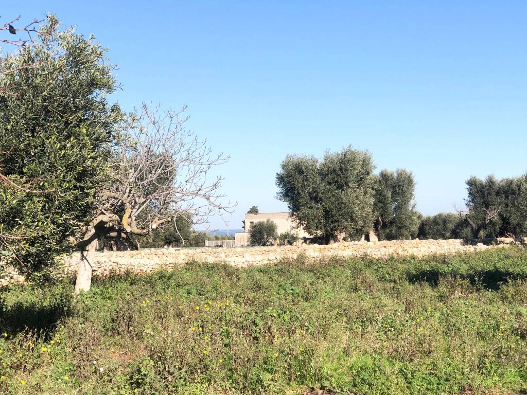 Terreno a Monopoli in Contrada Chianchizza - Foto 4