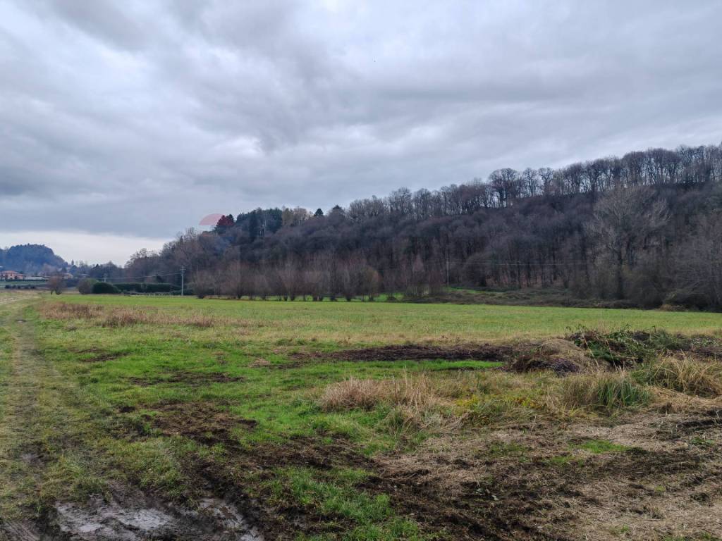 Terreno a La valletta brianza in frazione francolino - Foto 4