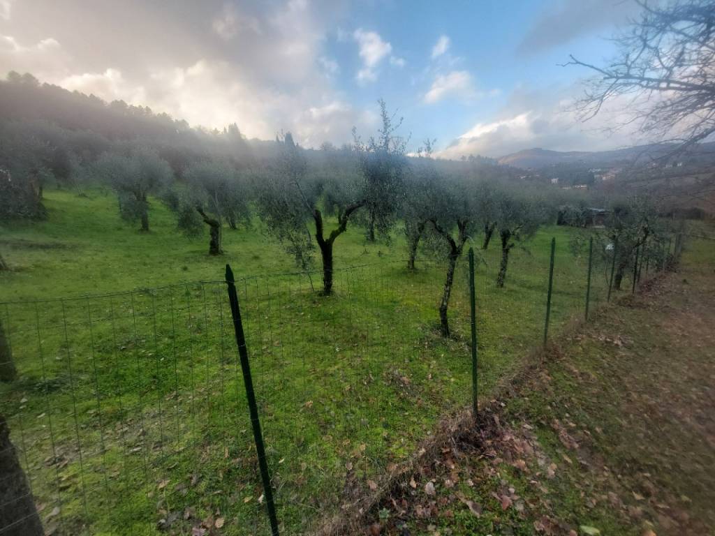 Terreno a Figline e incisa valdarno in Via Ponte agli Stolli - Foto 2