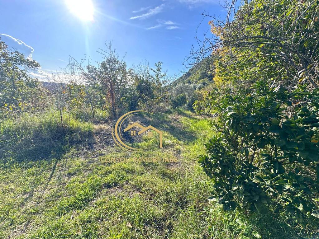 Terreno a Giarre in Via Giuseppe Zinghirino - Foto 5