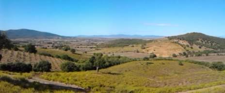 Rustico / casale a Magliano in toscana in Strada di Cupi - Foto 4