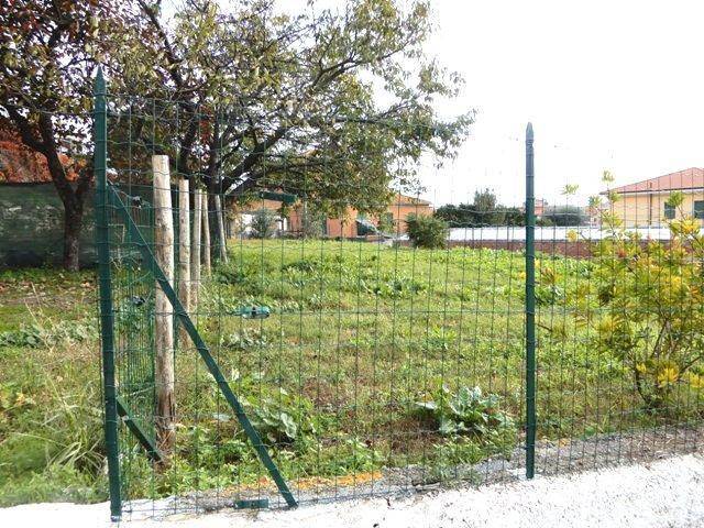 Terreno a San bartolomeo al mare - Foto 2