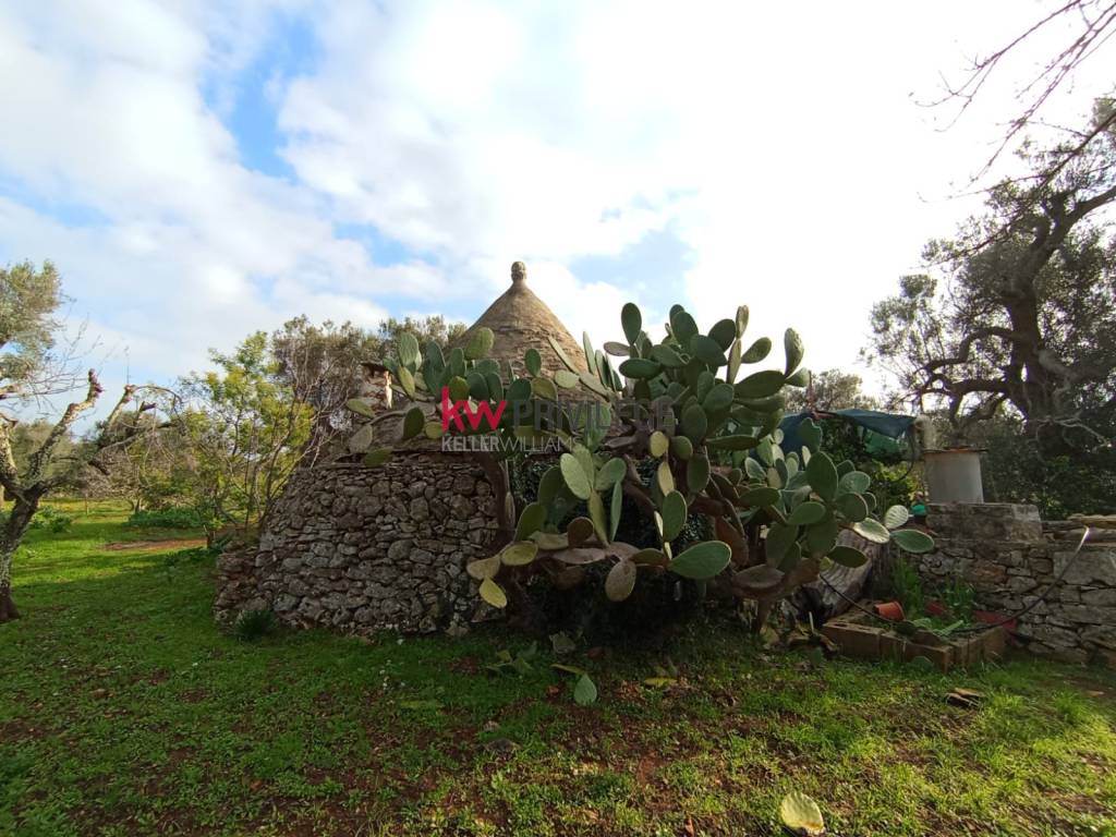 Rustico / casale a Ceglie messapica - Foto 5