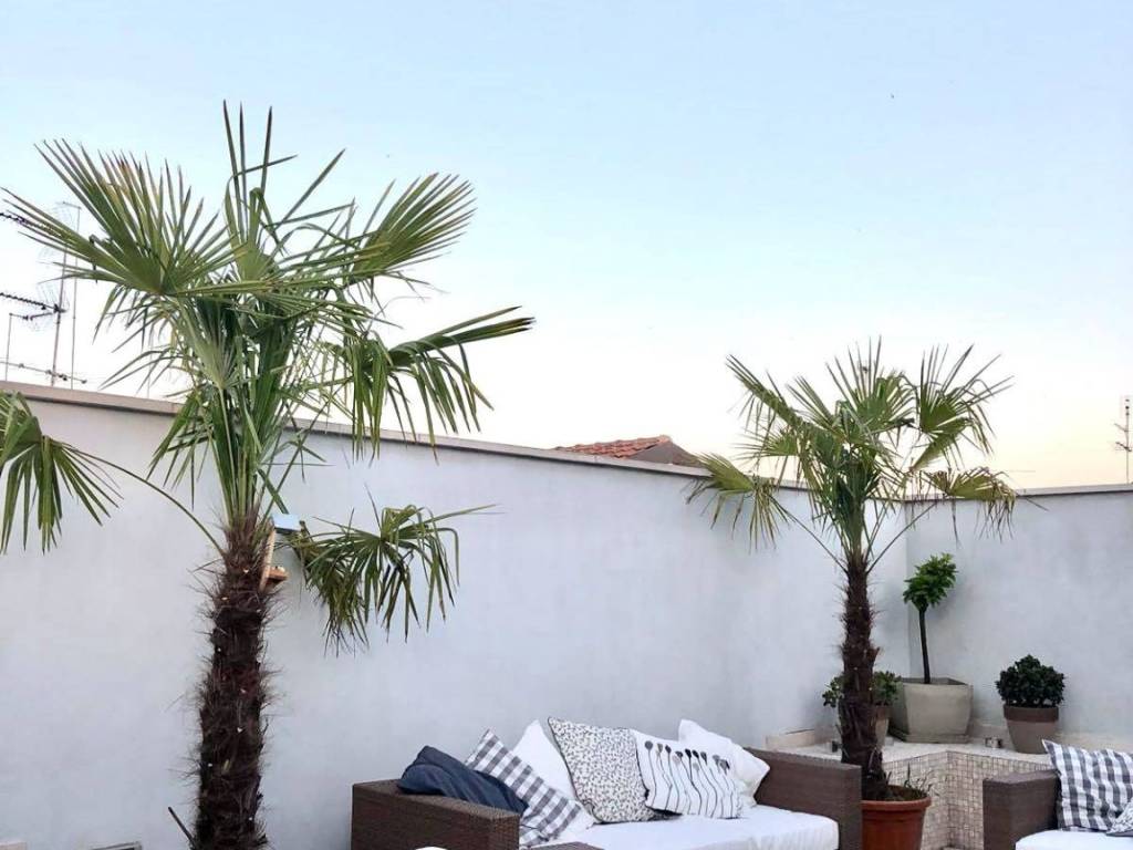 Appartamento a Civitanova marche in corso vittorio emanuele - Foto 4