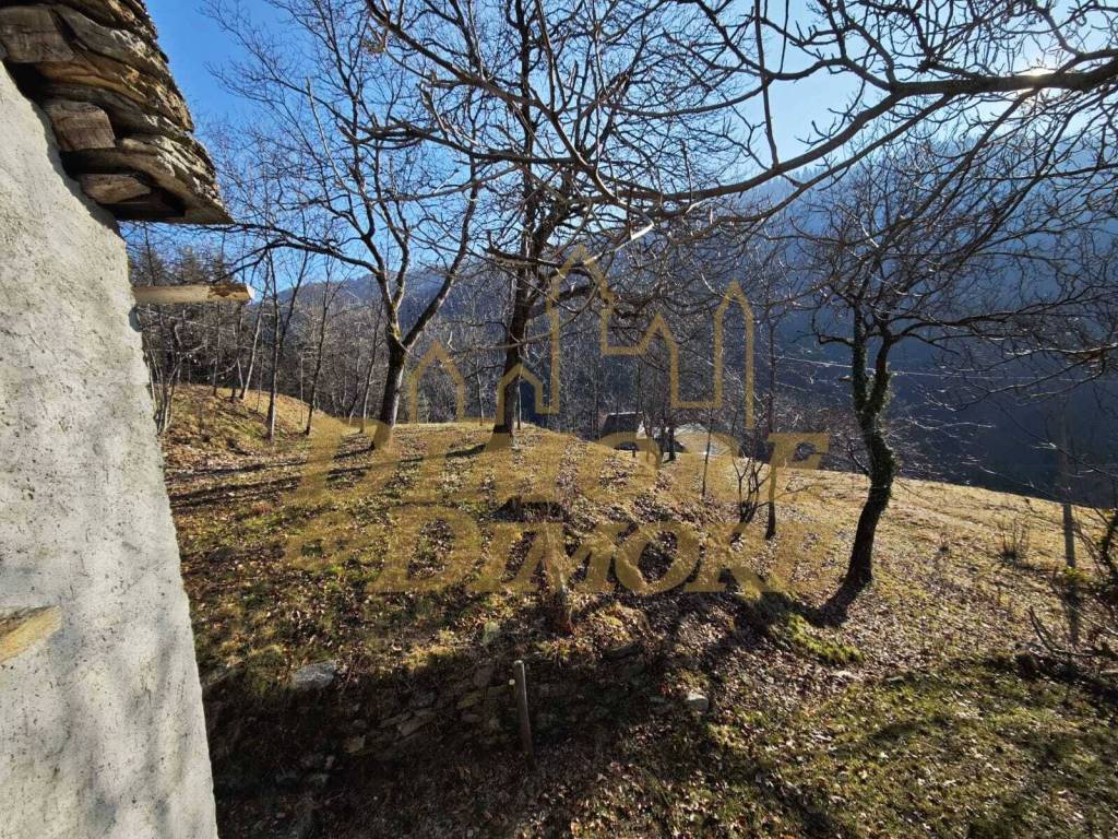 Rustico / casale a Craveggia in Via Colonnello Giuseppe Garbagni, 92 - Foto 2