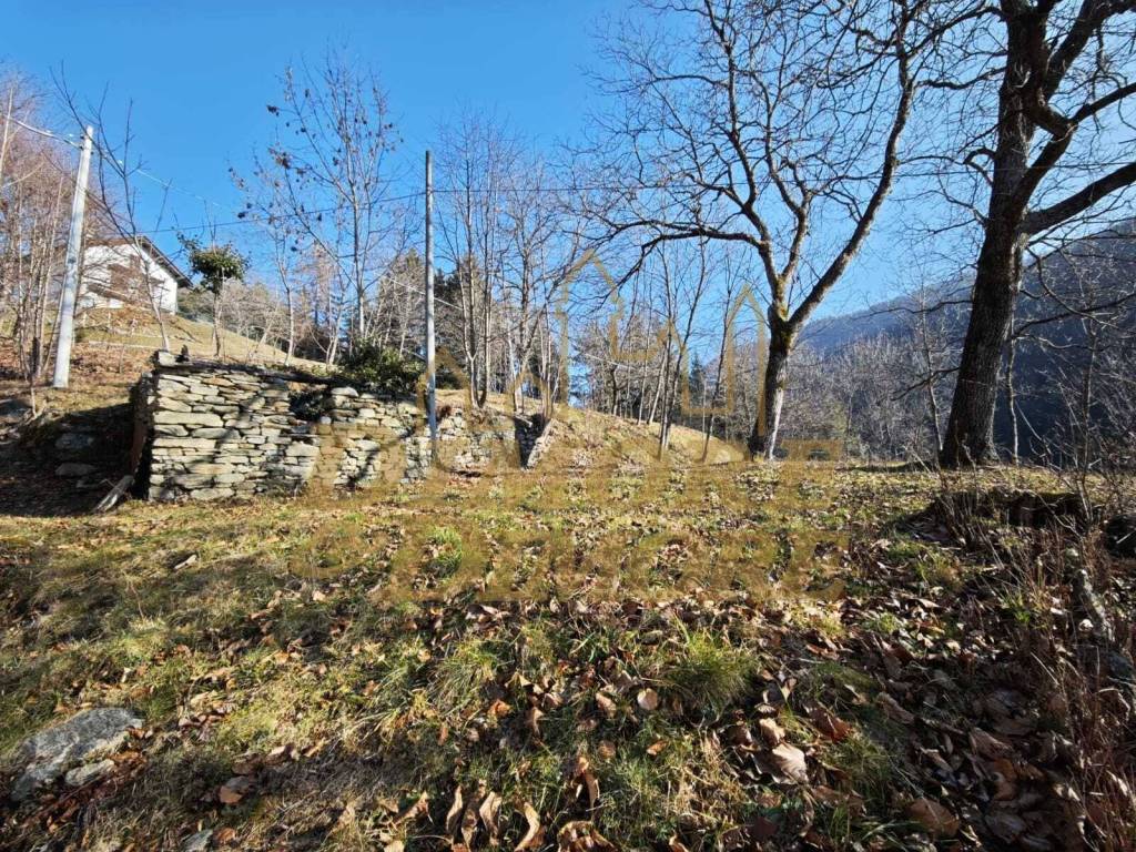 Rustico / casale a Craveggia in Via Colonnello Giuseppe Garbagni, 92 - Foto 3