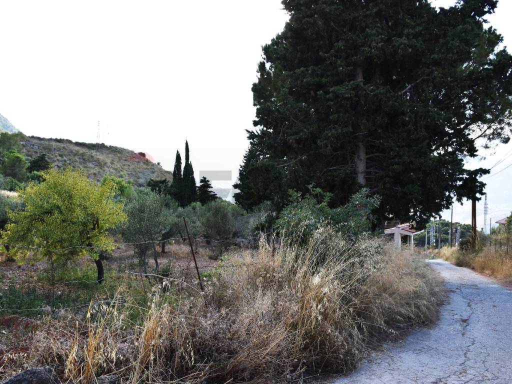 Terreno a Altofonte in Contrada Cozzo di Castro - Foto 4