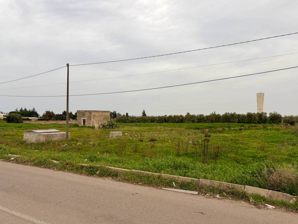 Terreno a Andria - Foto 3