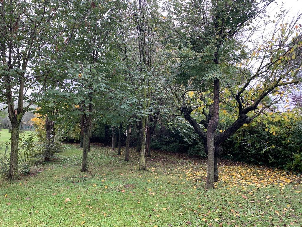 Terreno a Misano adriatico in Ca' Tommasino - Foto 2