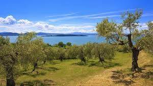 Casa indipendente a Passignano sul trasimeno - Foto 2