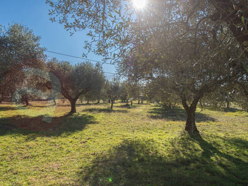 Rustico / casale a Veroli in Contrada Scimitelli - Foto 2