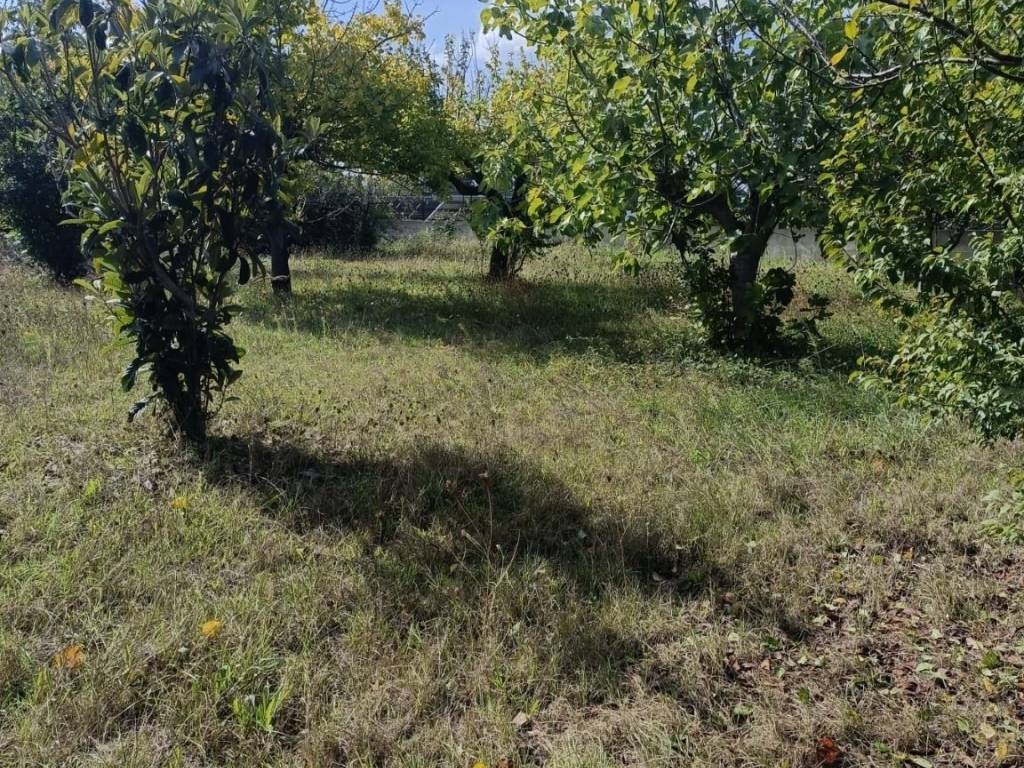 Terreno a Cappelle sul tavo in Via Michelangelo - Foto 2