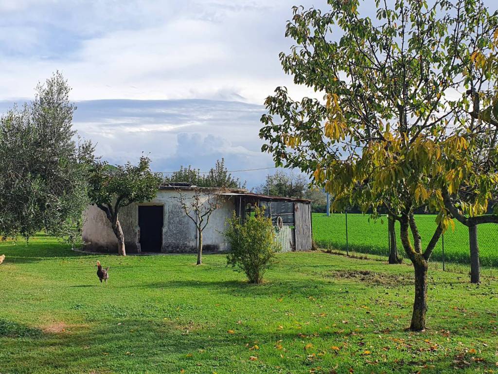 Rustico / casale a Fano in Località Bevano - Foto 3