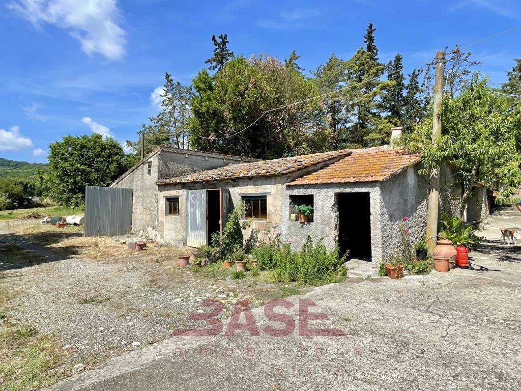 Rustico / casale a Riparbella in SR68 - Foto 5